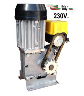 Motor basculante/ Seccional 230V CASIT