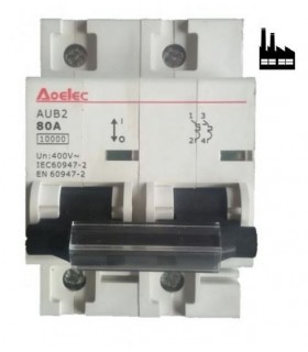 Magnetotérmico Bipolar 10kA Industrial 80Amp.