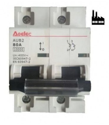 Magnetotérmico Bipolar 10kA Industrial 80Amp.