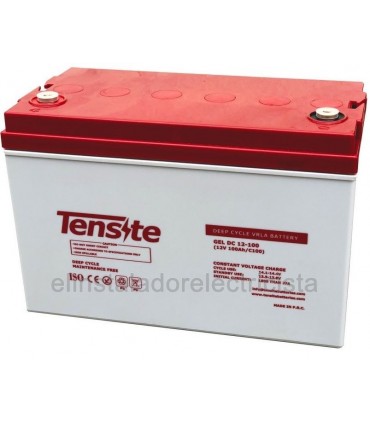 Batería de Gel 12V 100Ah
