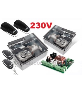 Motor Soterrado para puerta batiente de hasta 2.5m 230V.