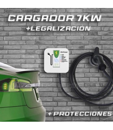 Cargador Minicharger PLC