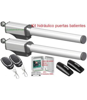 Kit brazos puertas batientes hidráulicos