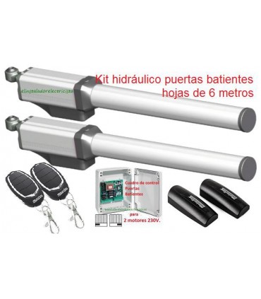Kit brazos puertas batientes hidráulicos ECO360