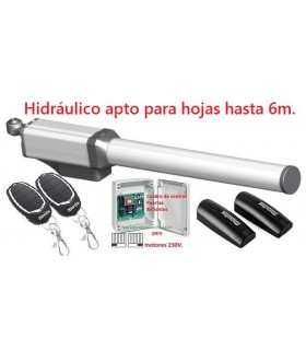 Kit Hidráulico 1 hoja Batiente