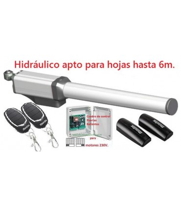 Kit Hidráulico 1 hoja Batiente