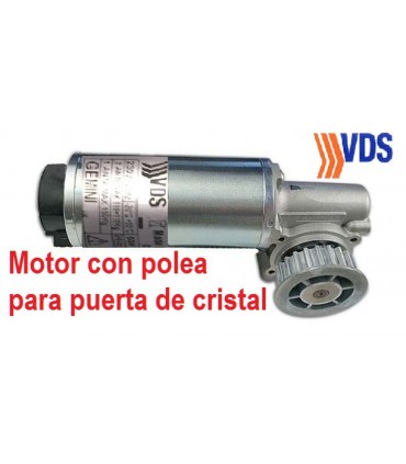 Grupo motor GEMINI completo + polea
